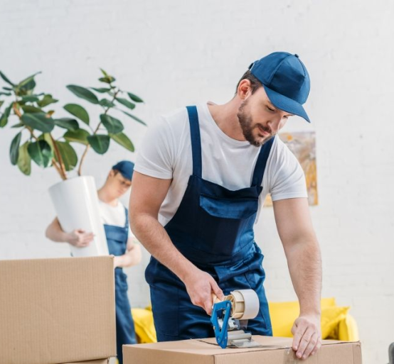 Packing and Unpacking Services